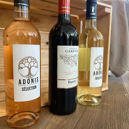 Adonis Grand Des Bains 3*