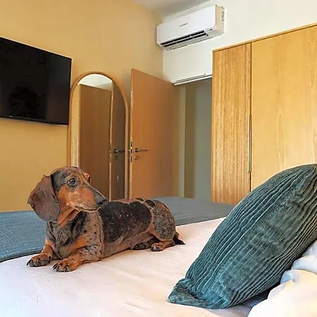 Adonis Grand Des Bains Hotel 3*